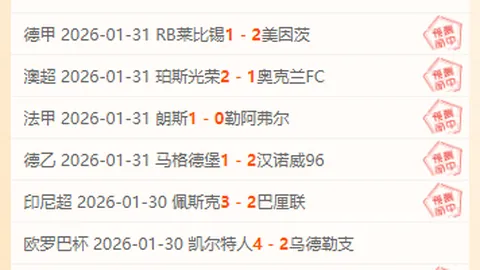 申花新加盟外援实力出众，价格亲民引关注